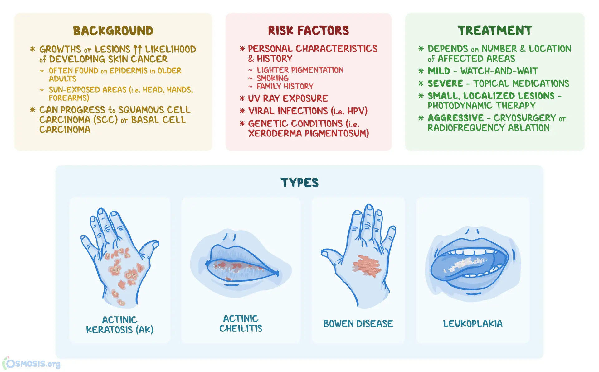 <p>E: 2nd most common derm dx<br>sun exposed areas</p><p><u>leukoplakia:</u><br>sun<br>smoking<br>chronic irritation</p><p>CM: firm+rough keratotic papule<br>erythematous base</p><p><u>leukoplakia:</u><br>white patch on mucous membranes (mouth)<br>more aggressive</p><p>DX: unsure+r/o SCC→biopsy</p><p>TX:<br>NP: cryotherapy<br>photodynamic therapy (PDT)<br>laser<br>chemical peel<br>electrodessication+curettage (ED&amp;C)</p><p>MX: topical 5-fluorouracil<br>imiquimod</p><p>P: <strong>precursor to squamous cell carcinoma/SCC</strong><br><strong>normal→30%</strong><br><strong>leukoplakia→20-40%</strong></p>