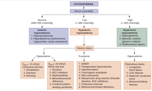 -renal losses
diuretic use, nephropathy (salt wasting), addison's disease (adrenal insufficiency, GU obstruction)
-nonrenal sodium loss
•GI losses (diarrhea, vomiting), insensible losses (skin and respiratory tract), third spacing (ileus, burns)
-thiazide diuretics