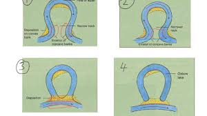 <ol><li><p>outside of the meander has the quickest flow and are eroded </p></li><li><p>outside of the meanders move closer together narrowing the neck in between</p></li><li><p>eventually (usually during floods) the river cuts straight across the neck following the quickest route</p></li><li><p>after this the river slows down by the old bend and deposits material cuttinf off an oxbow lake</p></li></ol><p></p>