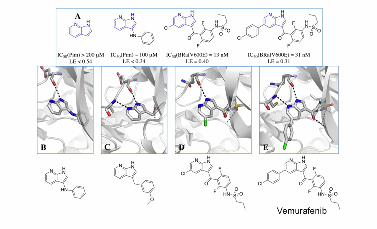 <p>Kinase inhibitor </p>