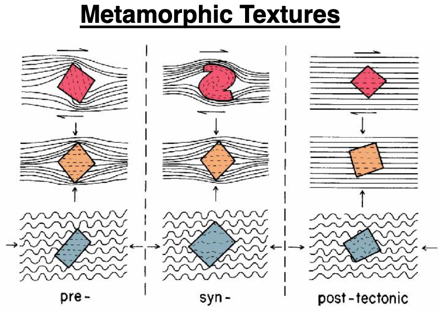 <p>porphyroblasts can grow at diff times during the history of the meta rock</p><p>porphs formed pre-tectonic will have foliation wrapped around them<br>porphs formed syn-tectonic will have foliation semi-wrapped around them, rotated<br>porphs formed post-tectonic will have foliation included in them</p><p>spiral is shear force syn-tectonic</p>