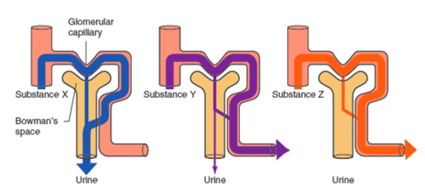 <p>Substance X</p>