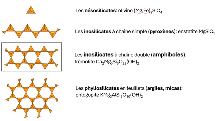 <p><span style="font-family: "Aptos Display", sans-serif;"><span>Famille imp des silicates</span></span></p><p class="MsoNormal"><span style="font-family: "Aptos Display", sans-serif;"><span>+ la structure complexe, + compo chimique contient d’élément (sauf quartz)</span></span></p>