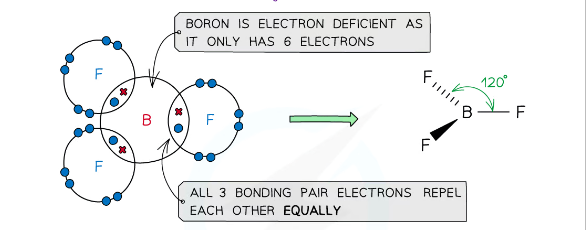 <p>example of a molecules with a trigonal planar shape </p>