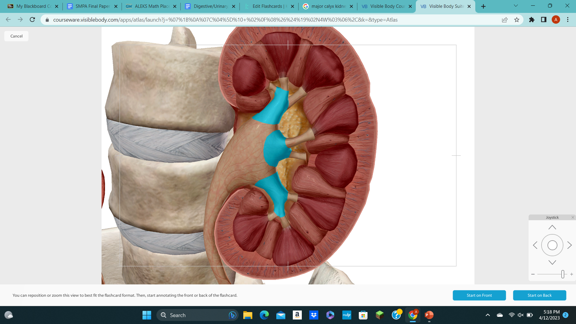 knowt flashcard image