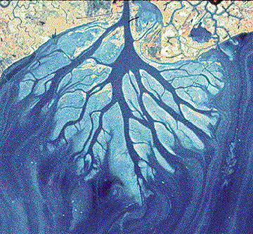 sediment deposited in a stream channel, along a stream bank, or on a floodplain