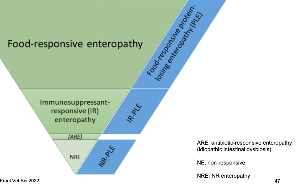 <p>yes, most dogs and cats with CIE respond to diet (>60% of cases)</p><p>-typically younger and less severe clinical signs than dogs wit other CIE subclasses</p>
