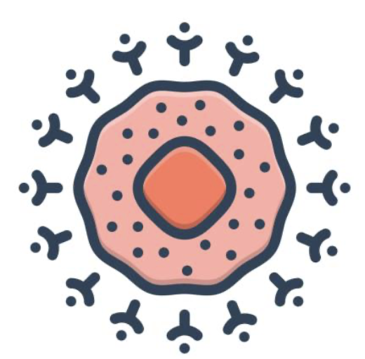 <p>how do you classify receptors via stimuli?</p>