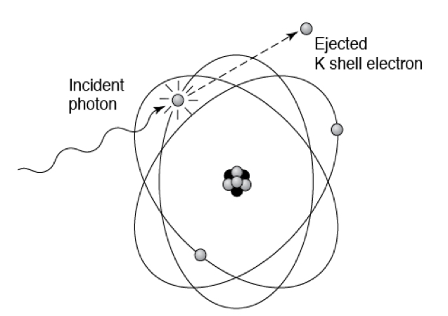 <p>What is true about this image?</p>