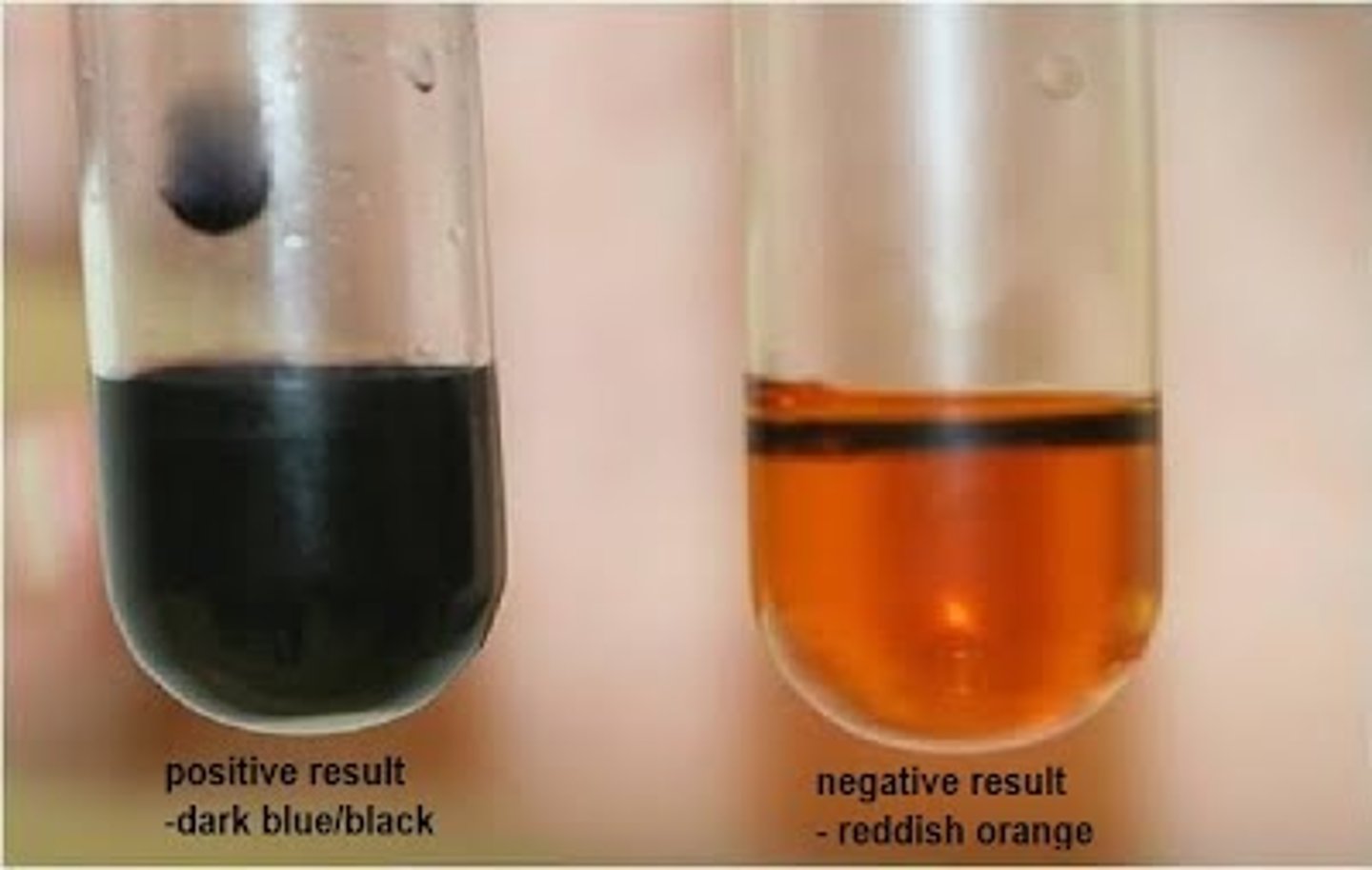 <p>1. Add iodine dissolved in potassium iodide to solution and shake/stir<br>2. Blue-black colour = starch present</p>