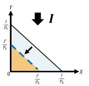 <ul><li><p>Inward parallel shift</p></li><li><p>Shrinking the budget set</p></li><li><p>Fewer affordable consumption choices</p></li></ul><p></p>