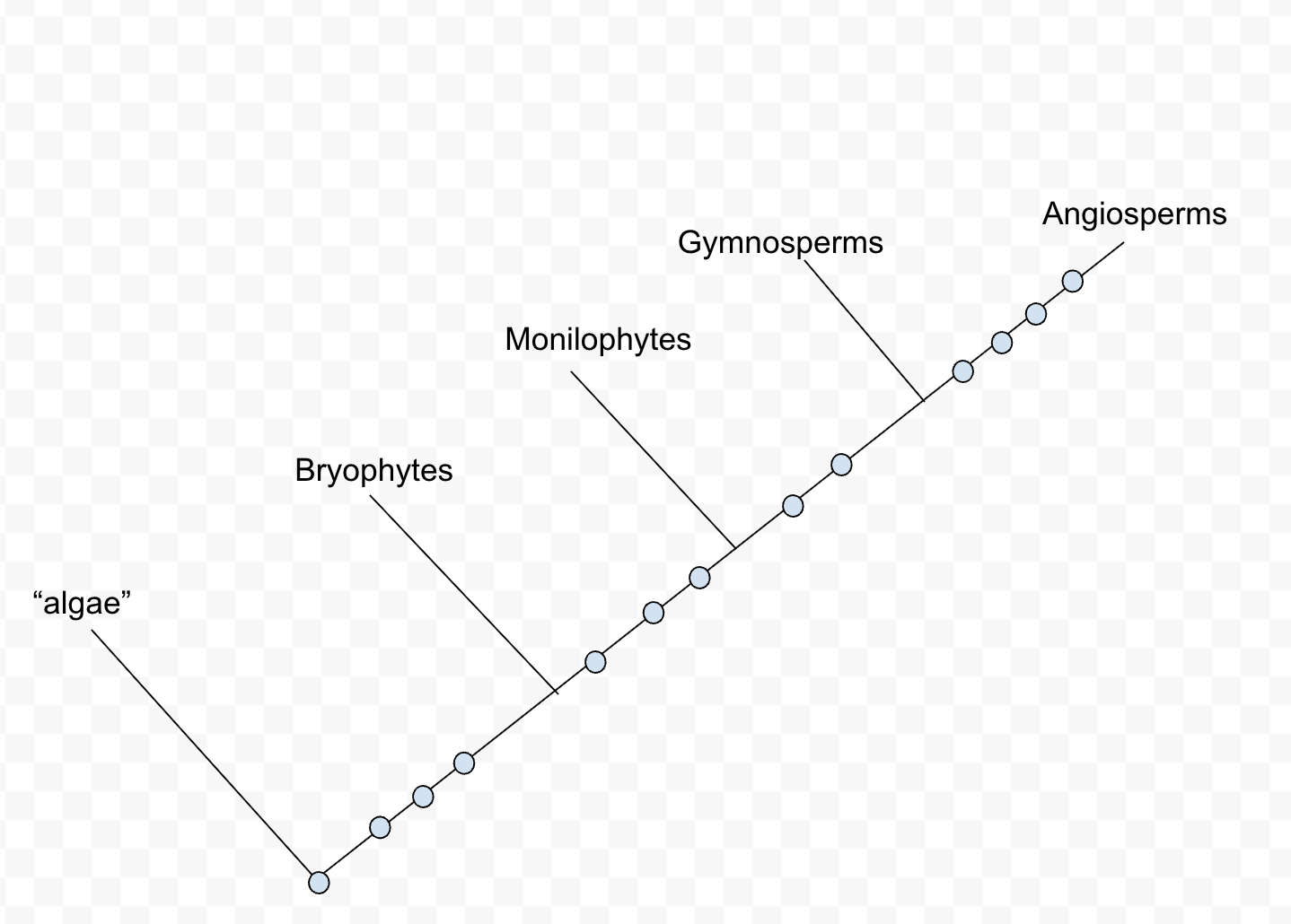 <p>Label the adaptations</p>