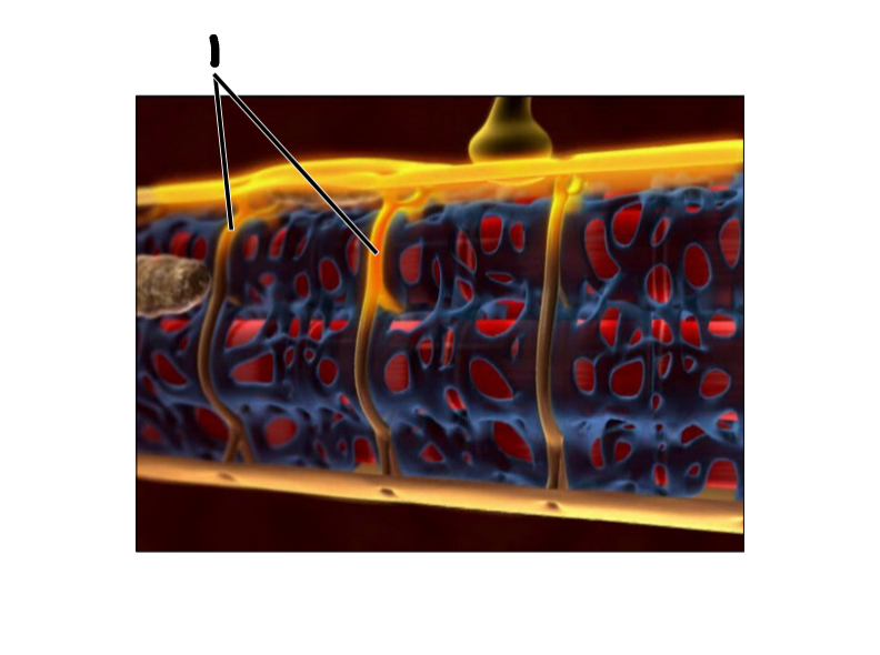 <p>Label the image</p>