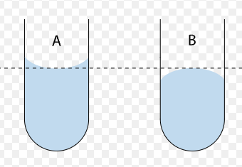 <p>The shape made by a liquid substance at the top of it’s surface.</p><p></p><p>An adhesive liquid will make a concave up ______ whereas a cohesive liquid will make a concave down/convex ______.</p>