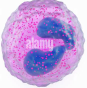 <p>What is this?</p>