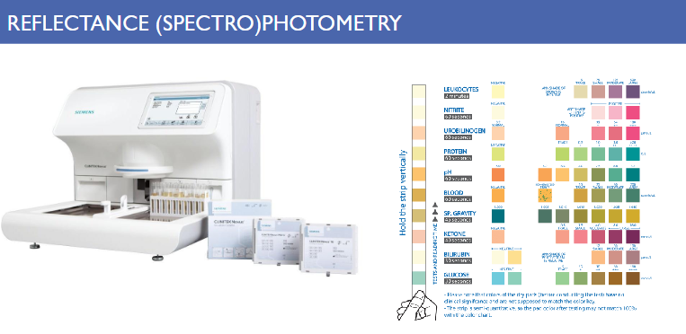 <p>Sample concentration ↑ intensity of the color ↑ amount of light reflected ↓ (amount of light absorbed ↑)</p><p></p>