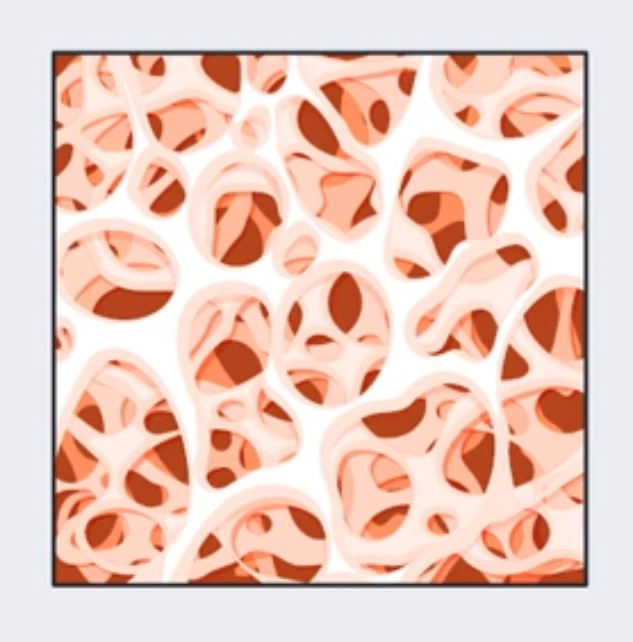 <p>Type of tissue</p>