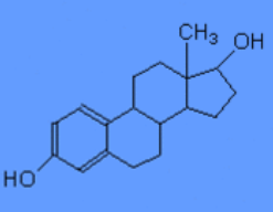 <p>hormones that support physiological functions like growth and development, energy metabolism, and homeostasis</p><p>have 4 fused rings</p><p>unique groups attached to the ring determine the type of steroid ex testosterone (not gonna ask about unique groups)</p>