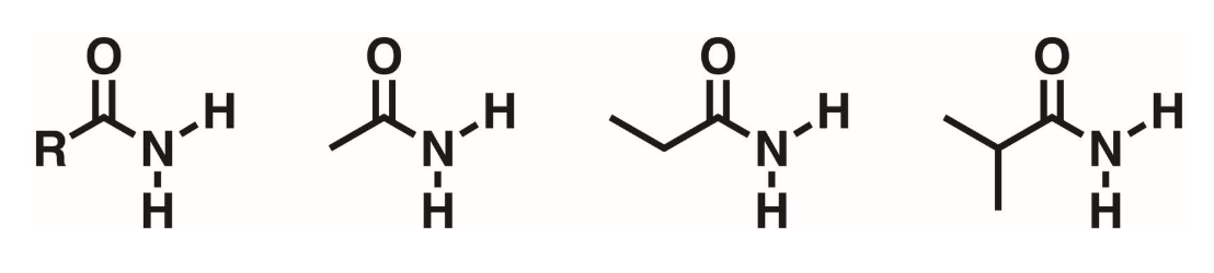 <p>Carbonyl flanked by a nitrogen. N must have 2 hydrogens</p>