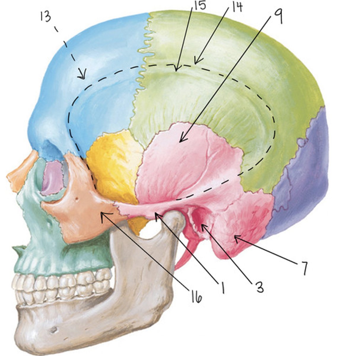 <p>9</p>