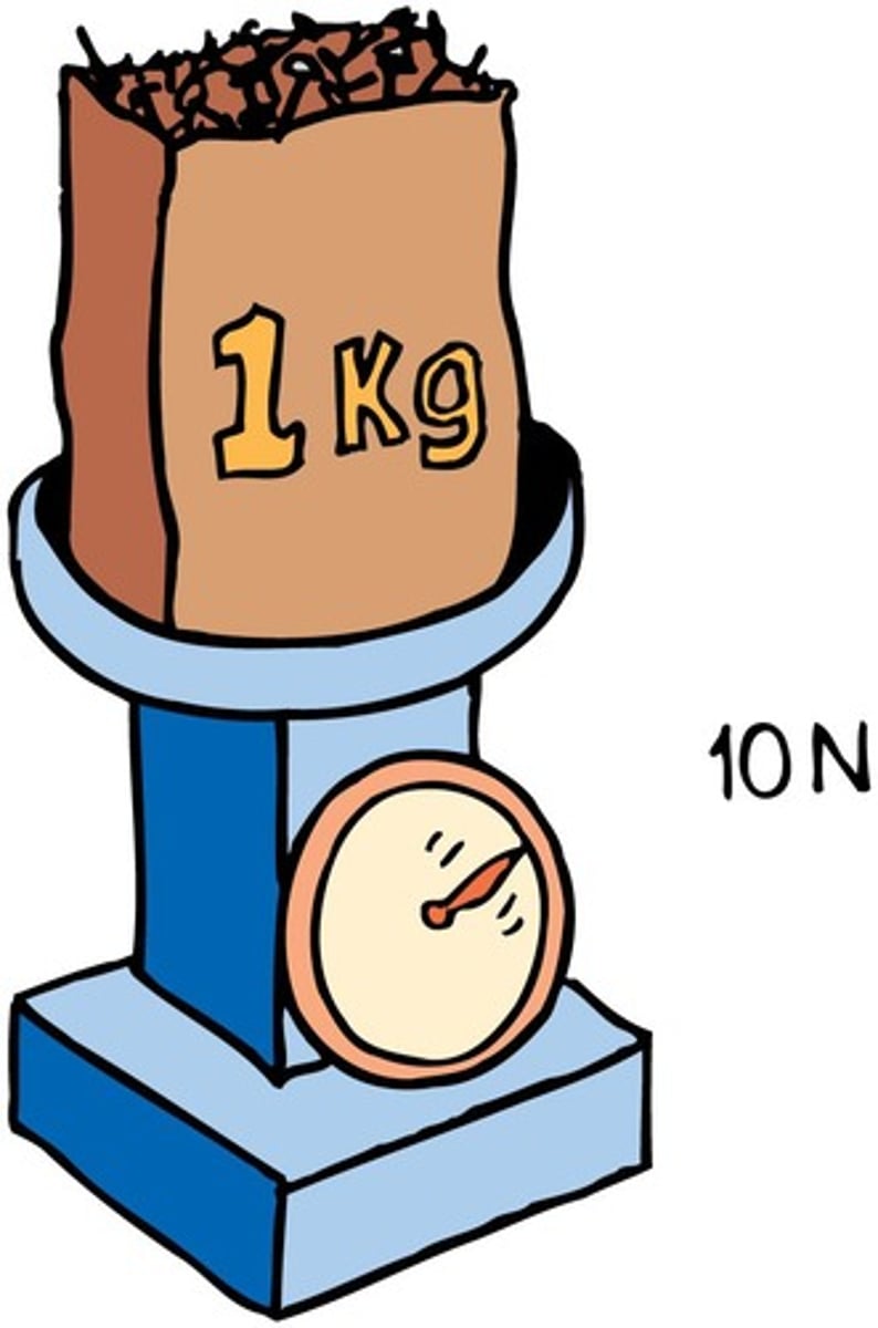 <p>1 kg weighs approximately 10 N on Earth.</p>