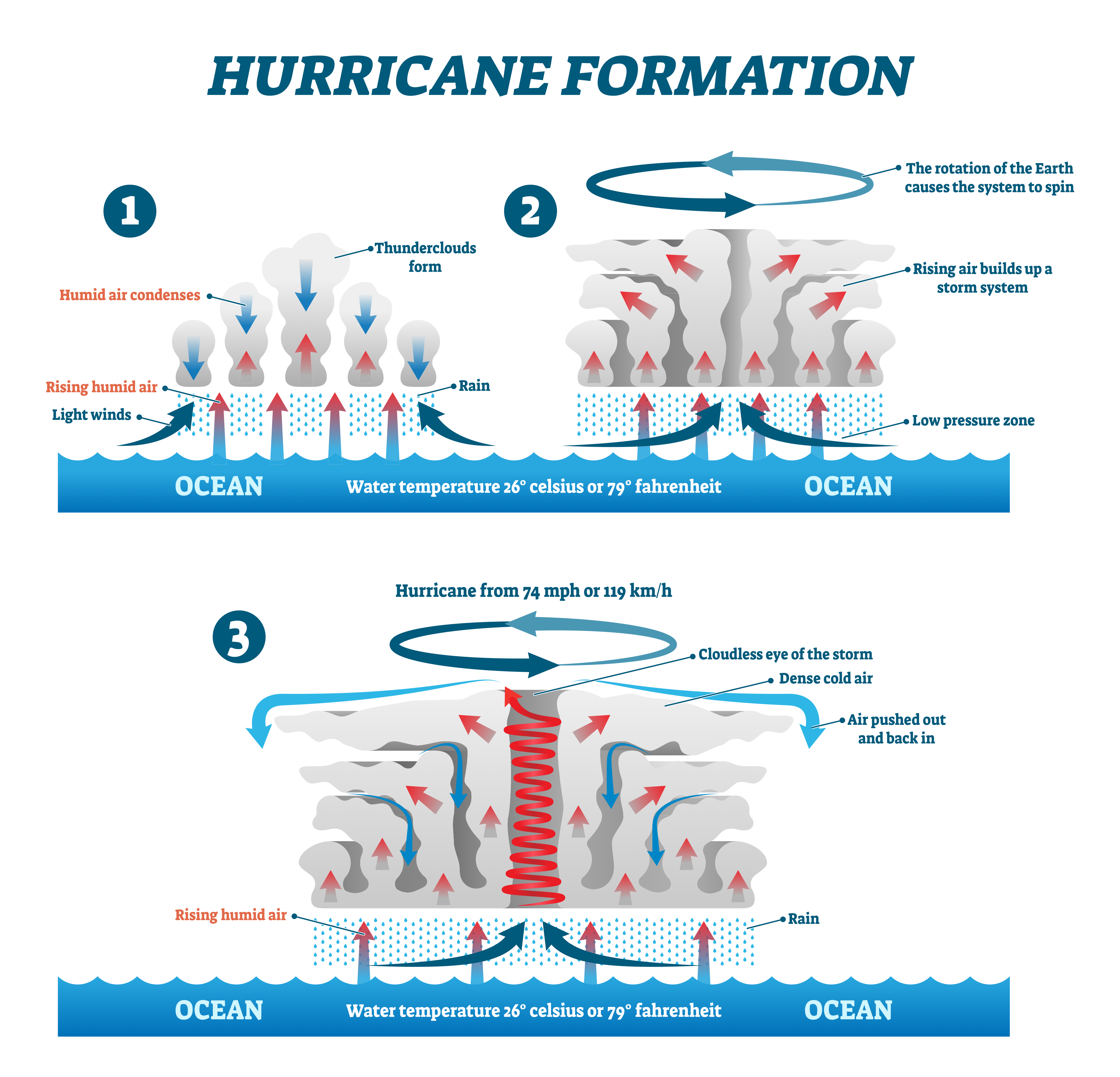 <ol><li><p>Air = heated above the surface warm tropical oceans → rises rapidly under low-pressure conditions</p></li><li><p>rising air draws up more airing large volumes of moisture from the ocean = strong winds.<span style="font-size: inherit; font-family: inherit">&nbsp;</span></p></li><li><p>Coriolis effect → the air to spin upwards around a calm central eye of the storm.<span style="font-size: inherit; font-family: inherit">&nbsp;</span></p></li><li><p>As the air rises, it cools and condenses to form large, towering cumulonimbus clouds = generate heavy rainfall</p></li><li><p>Heat is given off = the air cools + powers the tropical storm.<span style="font-size: inherit; font-family: inherit">&nbsp;</span></p></li><li><p>Cool air sinks into the eye → there is no cloud → drier, clear and much calmer.<span style="font-size: inherit; font-family: inherit">&nbsp;</span></p></li><li><p>tropical storm travels across the ocean bc of prevailing wind.<span style="font-size: inherit; font-family: inherit">&nbsp;</span></p></li><li><p>When the tropical storm meets land = no longer fuelled by the source of the moisture and heat from the ocean → loses power and weakens.</p></li></ol><p></p>