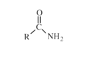 <p>Carbonyl group bonded to nitrogen bonded to two hydrogens</p>