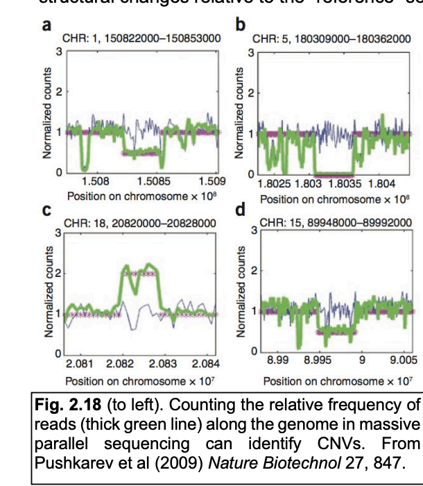 <ul><li><p>Identified<strong> even more variation</strong>:</p><ul><li><p>e.g in 3622 Icelanders, &gt;22k structurual variatns per individual&nbsp;</p><ul><li><p>(13k insertions, 9k deletions)</p></li><li><p>A few are associated with <strong>phenotypes</strong>→ e.g low LDL, height)</p></li><li><p><strong>Most aren’t </strong></p></li></ul></li></ul></li></ul><p></p>