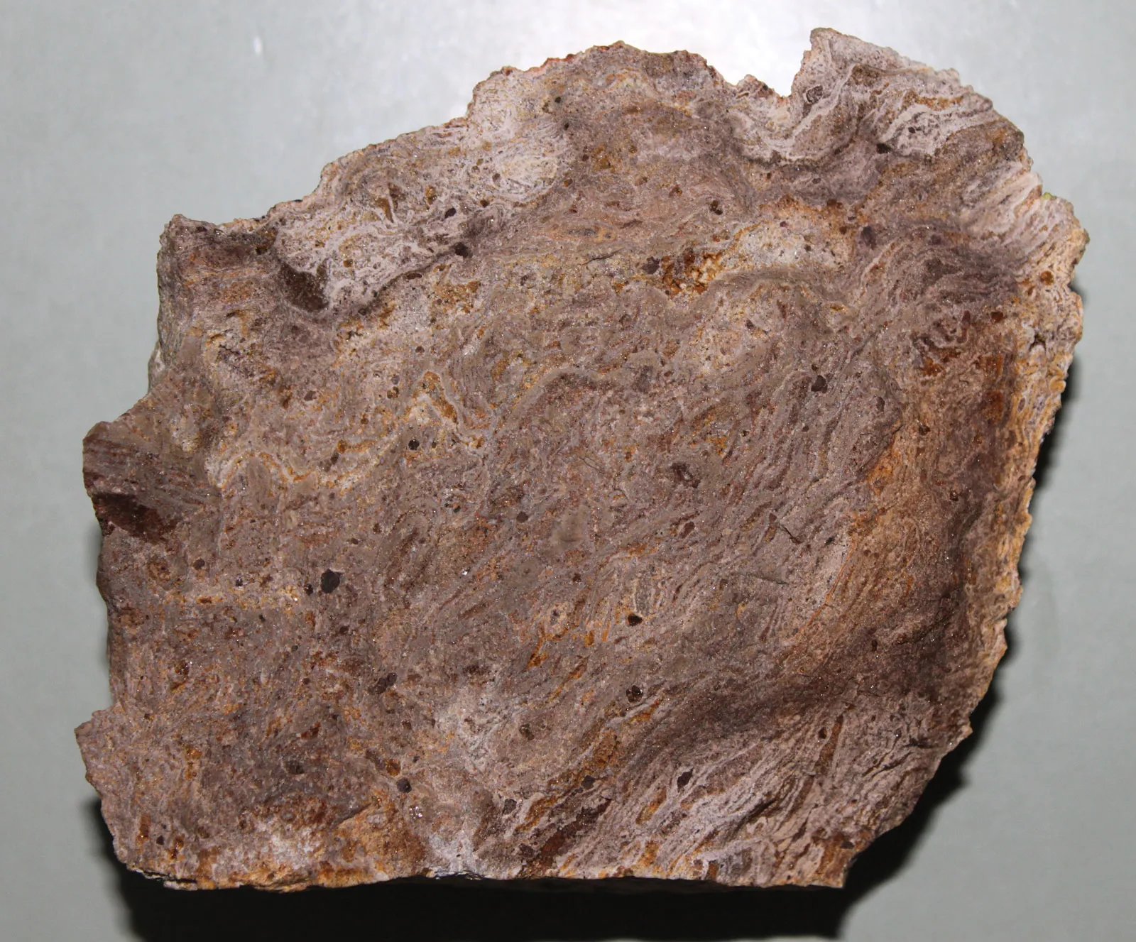 knowt flashcard image