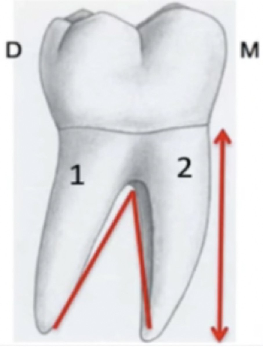 <p>Instrument for scaling distal of mesial root of max molar: </p>