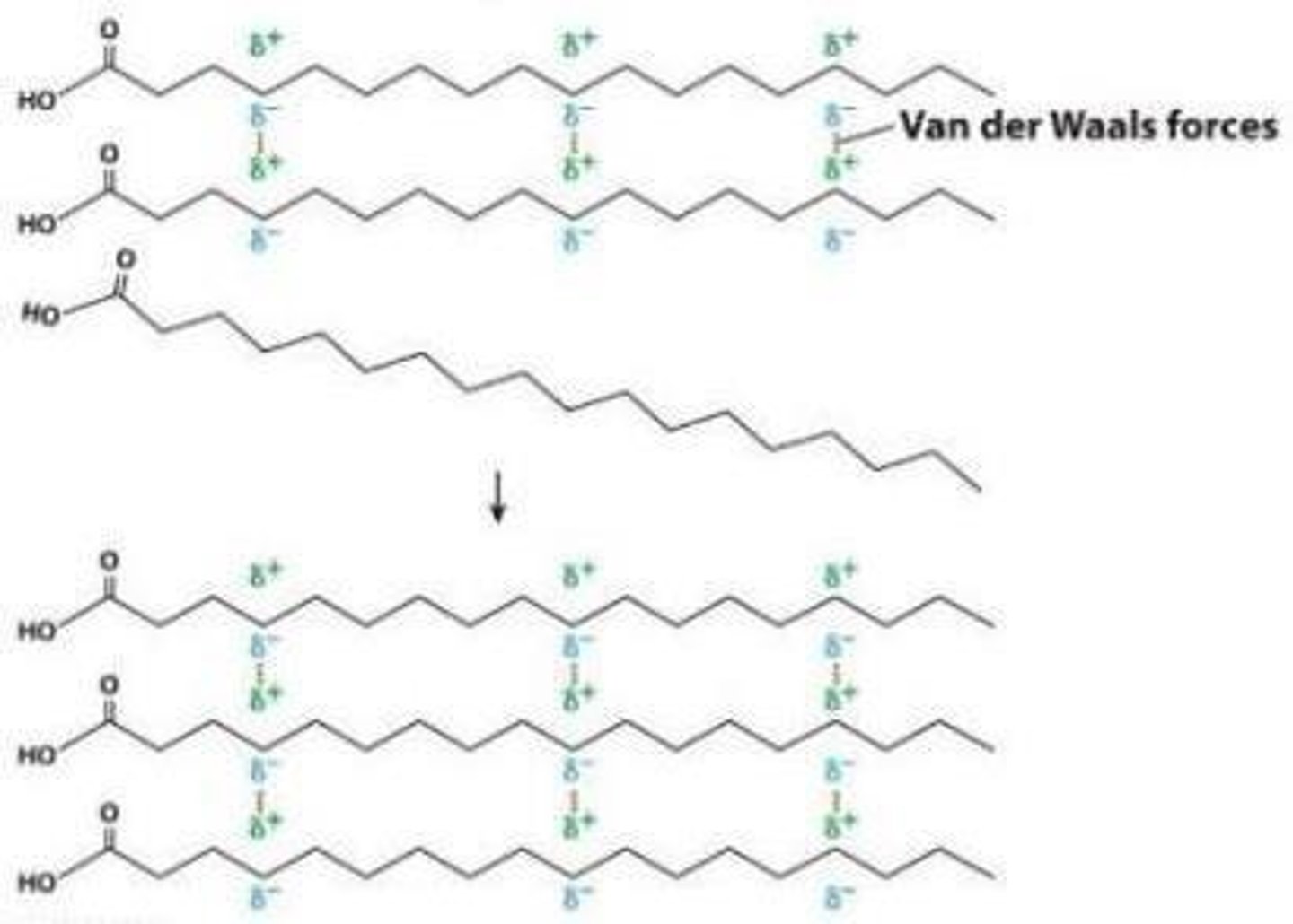 <p>Hydrophobic interactions.</p>