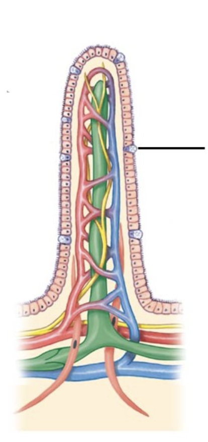 <p>What is the line pointing to&nbsp;</p>