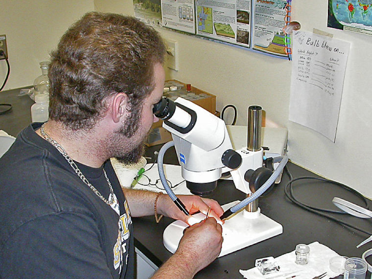 <p>generally 20x to 70x </p><p>for observing and identification of insects</p>