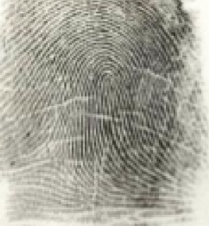 <p>left hand</p>