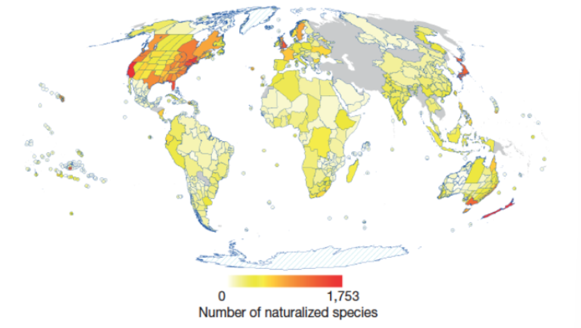 <p>Most studies are done in first-world countries</p>