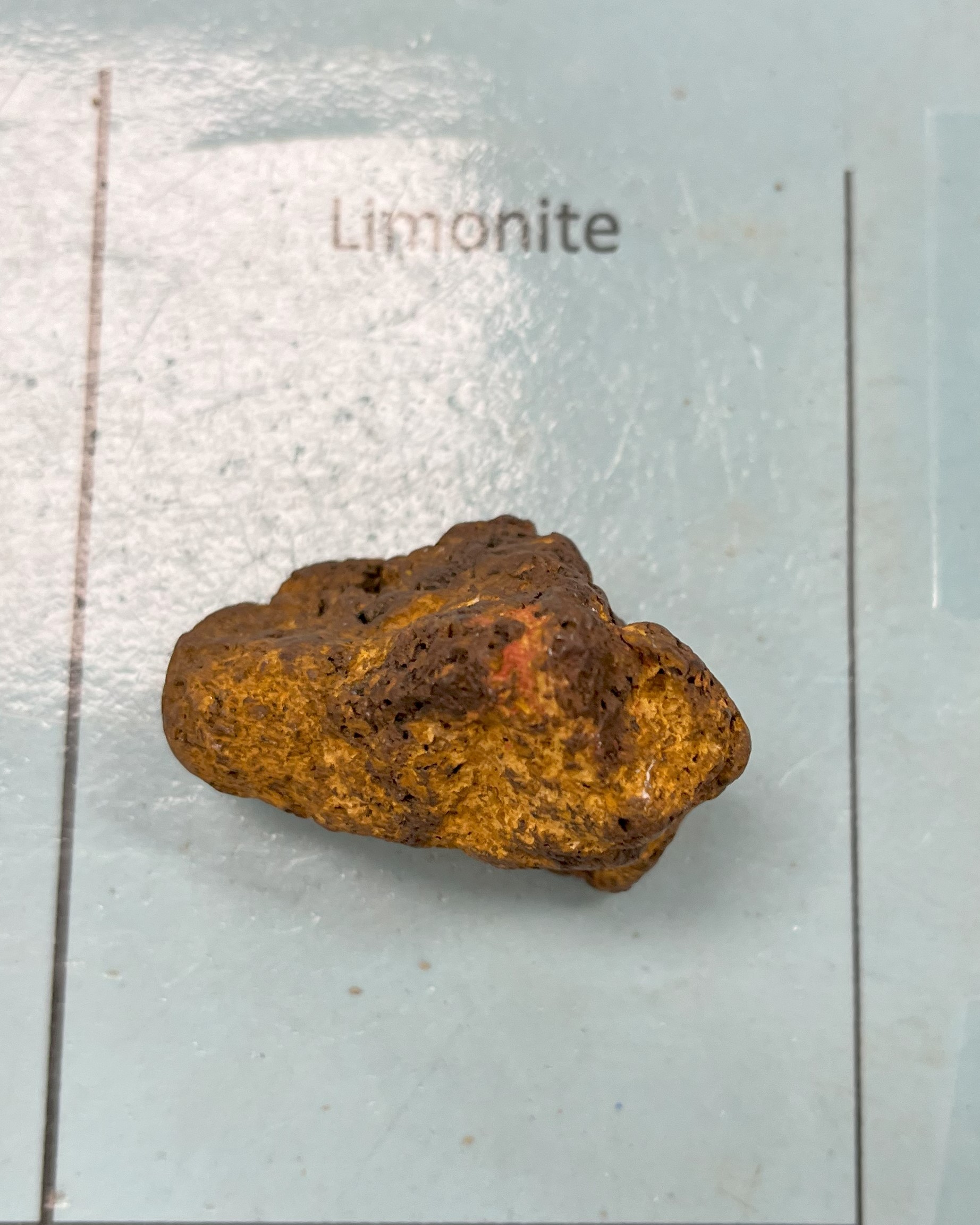 <p>Limonite (<strong>Iron Ore</strong>)</p>
