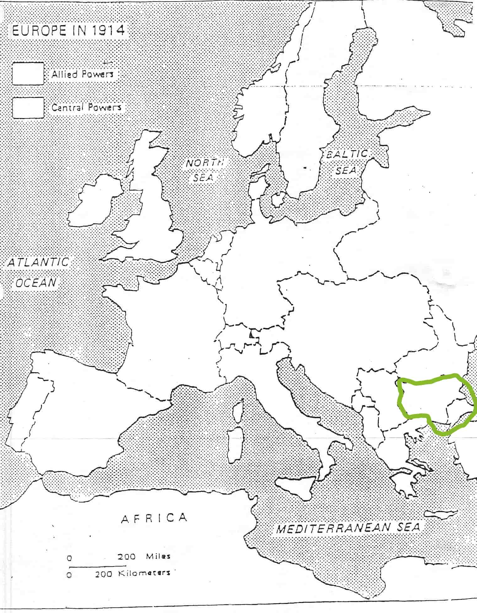 term image