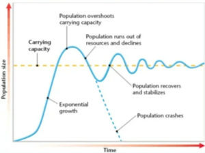 <p><span><strong><span>What is carrying capacity?</span></strong></span></p>