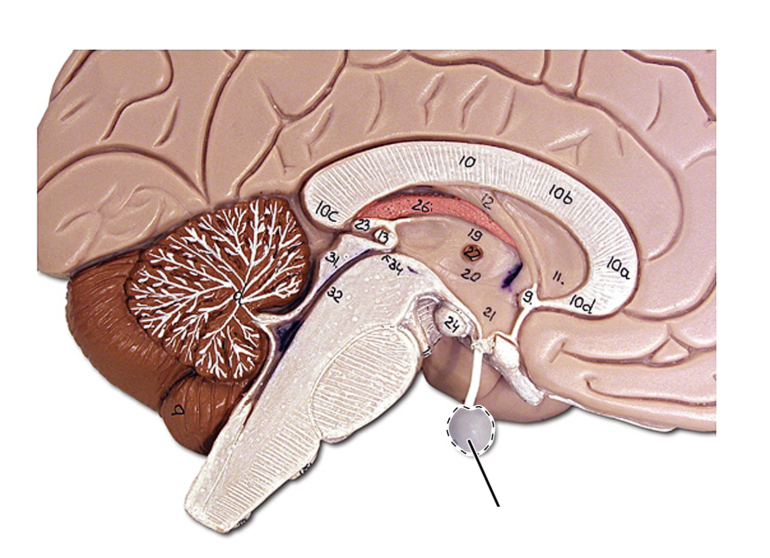 <p>What is this?</p>