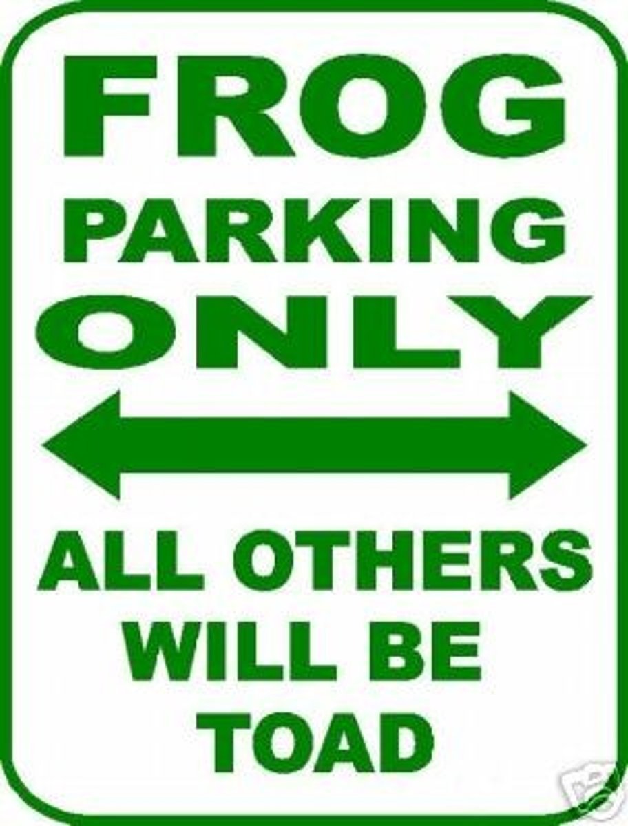 <p>a humorous play on words</p>