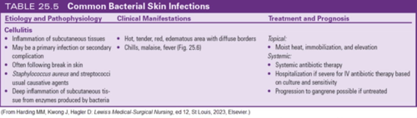 <p>a. Apply warm, moist heat</p><p>The application of warm, moist heat speeds the resolution of inflammation and infection when accompanied by appropriate antibiotic therapy. It does this by increasing local circulation to the affected area to bring macrophages to the area and carry off cellular debris. Immobilization and elevation are also used. Snug blankets would not be helpful and would decrease circulation to this sensitive tissue. Elevation and immobilization would be beneficial for healing, so the nurse should not encourage frequent ambulating or maintenance of the foot in a dependent position. Pg 478</p>