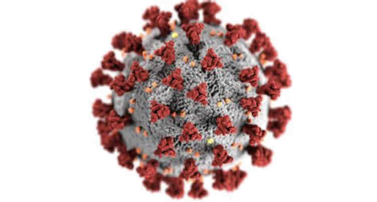 <p>Viruses consist of nucleic acid containing RNA or DNA, but not both</p><p>Viruses are surrounded by a protein coat called a capsid</p><p>some viruses are are surrounded by another layer, the envelope, which contains membrane proteins</p>