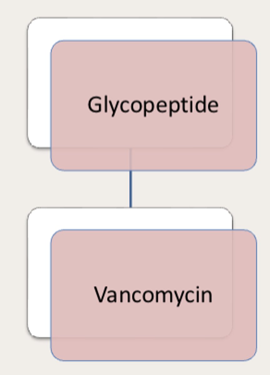 <p>vancomycin PO/IV/others</p>