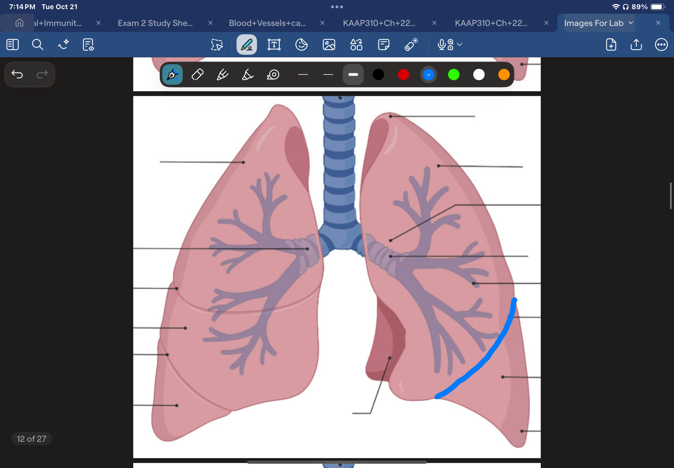 knowt flashcard image