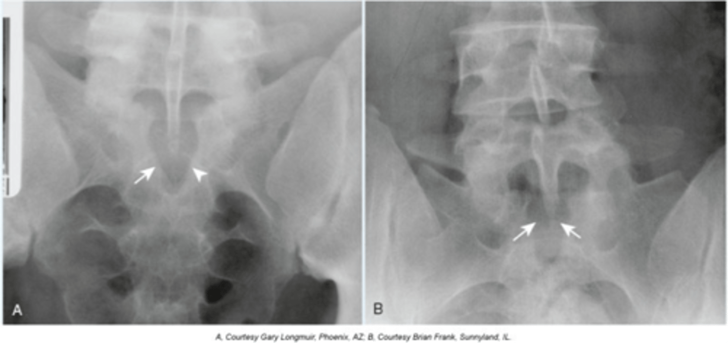 <p>State diagnosis</p>
