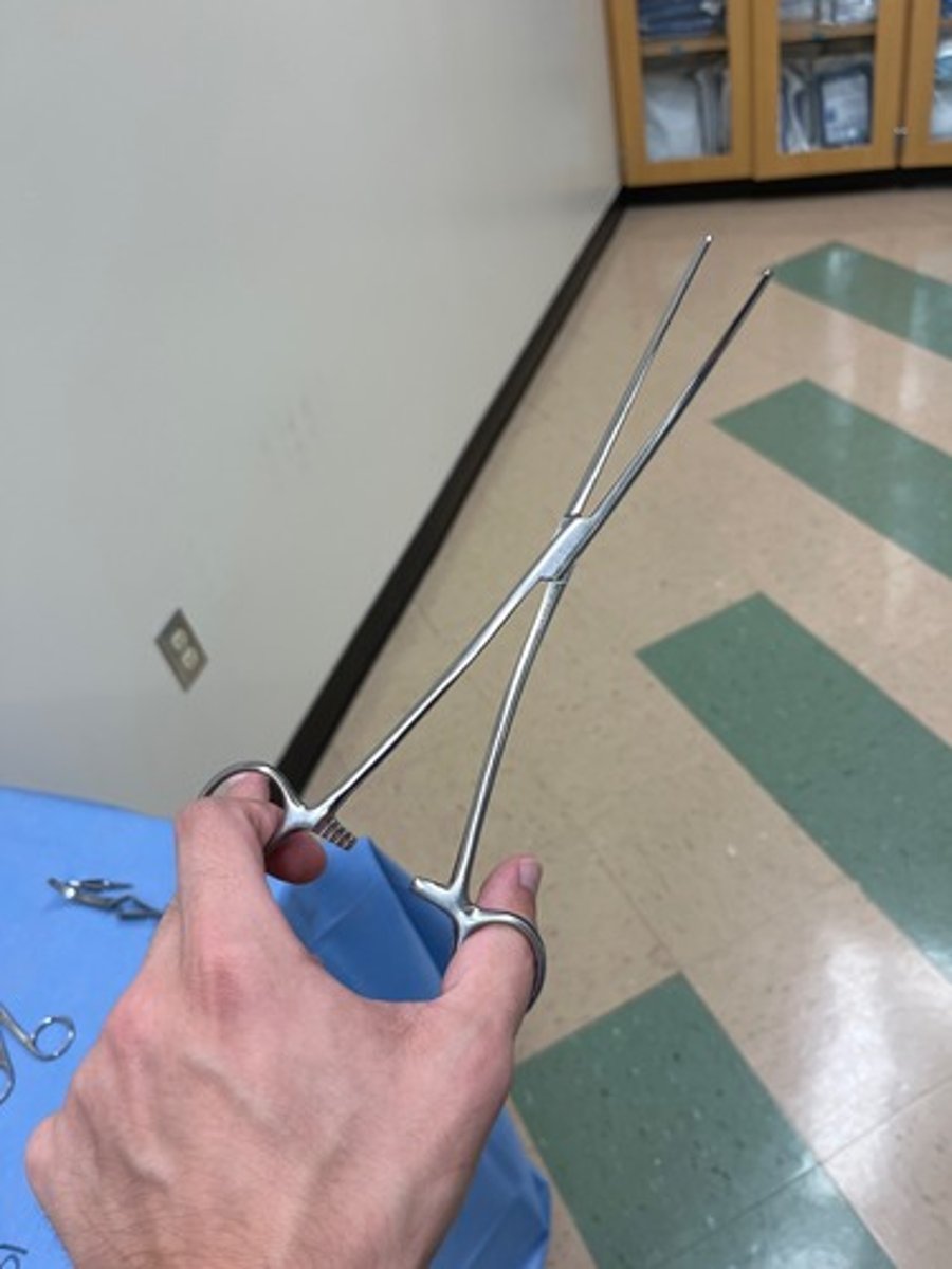 <p>Heavy style instrument, horizontal serrations full length of jaw, for clamping large heavy segments of tissue for homeostasis.</p>