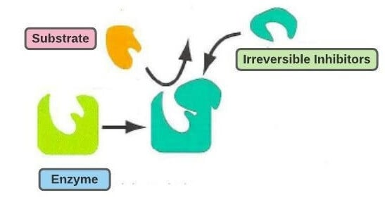 <p>In <strong>mechanism-based inhibition</strong>, competitive inhibitors permanently bond to an enzyme’s active site. </p><p>This is an irreversible (permanent) binding, so the substrate can never access the active site. </p>