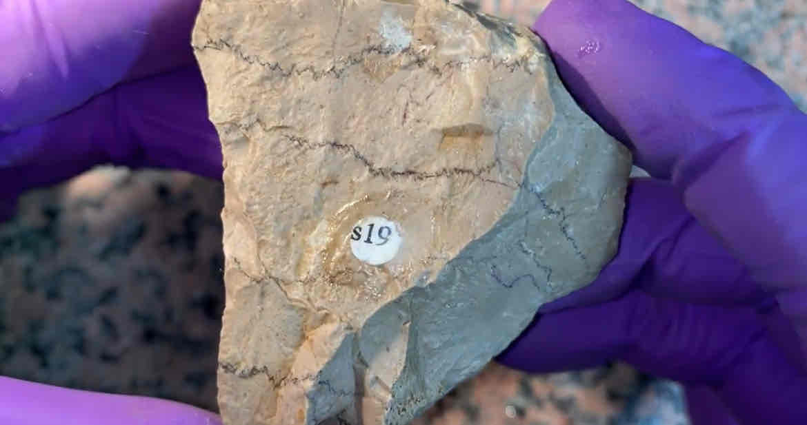 <p>what is rock add heat and pressure</p><p>hint : reacts to acid. has squiggles. crystals are too small to see with eye</p>