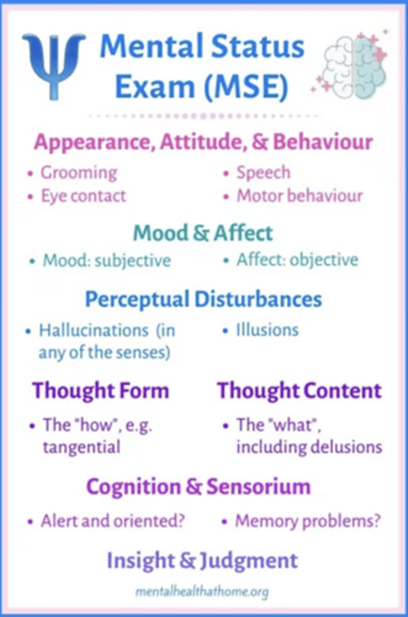 <p>Appearance, behavior, speech, mood, affect, motor activity, thought process, thought content, perception, cognition, insight, and judgment.</p>