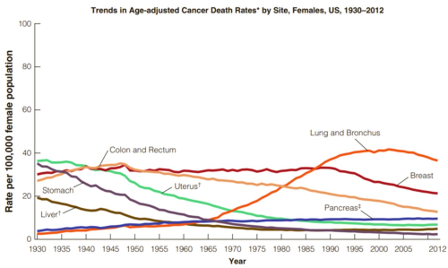 <p>Most common: Breast</p><p>Most deadly: Lung</p><p>In general, incidence rates for the four leading cancers— lung, breast, prostate, and colorectal—are declining, especially for men.</p><p>-lung cancer continues to show a slight increase among women but a continuing decline among men.</p><p>Melanoma, a potentially fatal form of skin cancer, is increasing among both men and women. Cancer of the esophagus is increasing among men yet falling among women.</p>